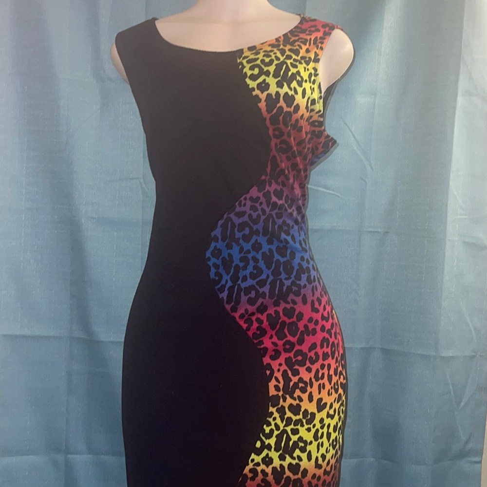 Dots Size 2X Black & Rainbow Animal print Dress